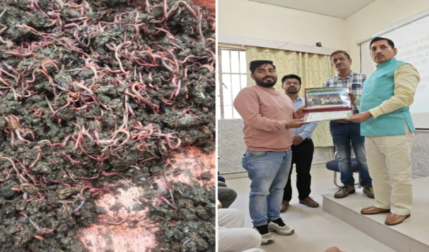 🌱 Haryana Engineer Quits Job, Builds ₹45 Lakh Vermicompost Startup