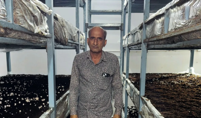 From Small Room to ₹7 Lakh/Month: A Delhi Farmer’s Mushroom Success