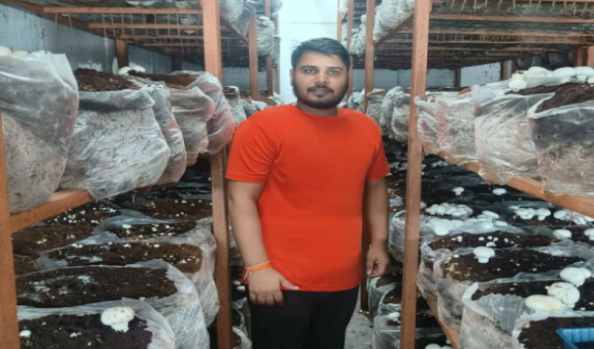 MBA Graduate From Delhi Turns Three Rooms Into a Thriving Mushroom Farm, Earning Rs 60 Lakh Annually